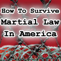 Martial law is coming to America, quite possibly during the upcoming or already happening World War III.  You must prepare now!